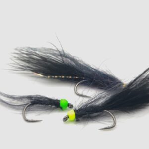 Hawgfish Leech
